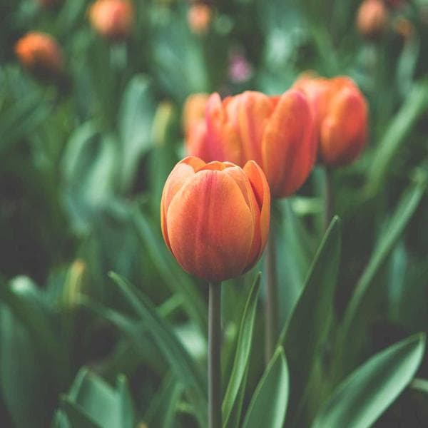 Inspiración Ecosenderos 6